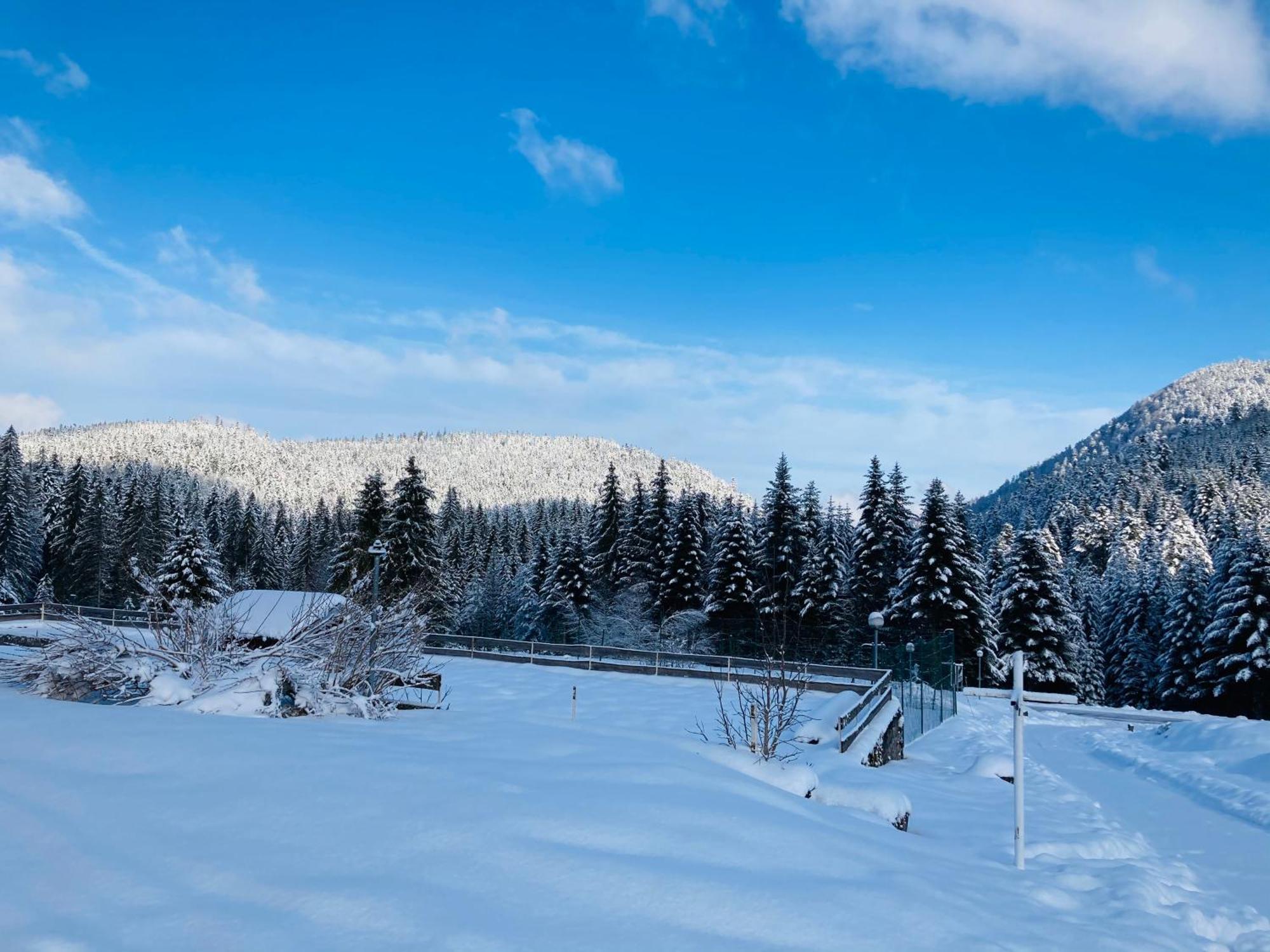 Le Perchoir Du Grand Valtin - Gite 5 Personnes - Altitude 830 Ban-sur-Meurthe-Clefcy Bagian luar foto