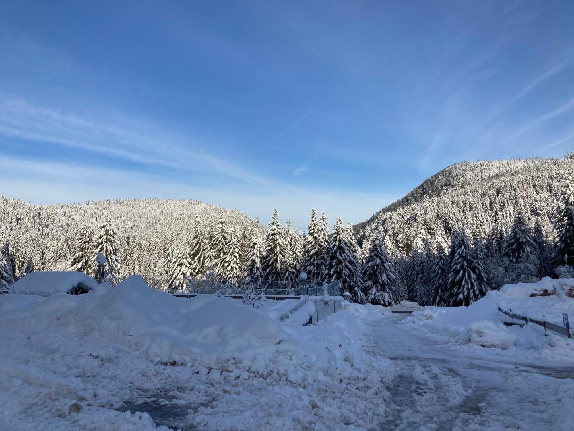 Le Perchoir Du Grand Valtin - Gite 5 Personnes - Altitude 830 Ban-sur-Meurthe-Clefcy Bagian luar foto
