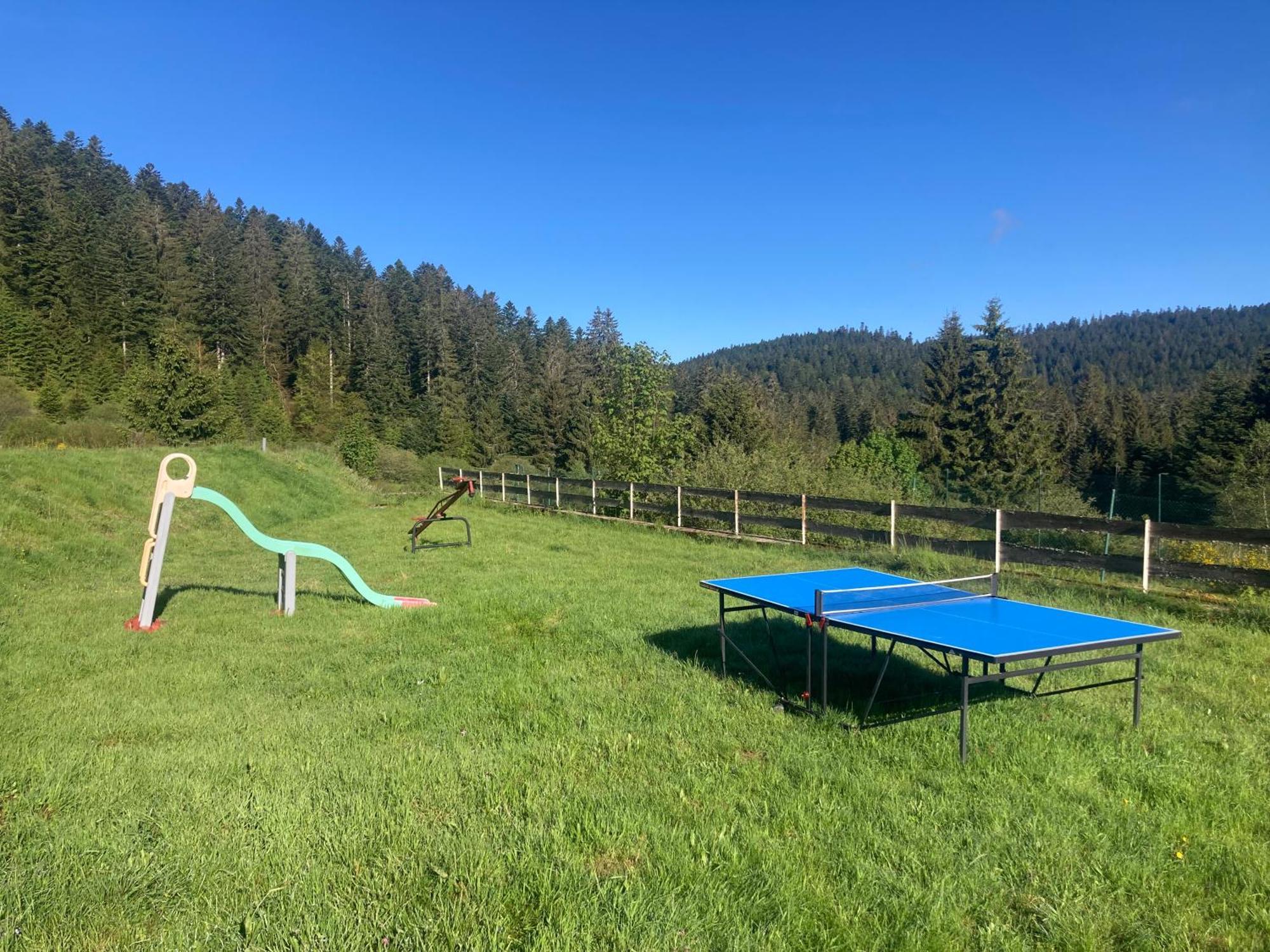 Le Perchoir Du Grand Valtin - Gite 5 Personnes - Altitude 830 Ban-sur-Meurthe-Clefcy Bagian luar foto