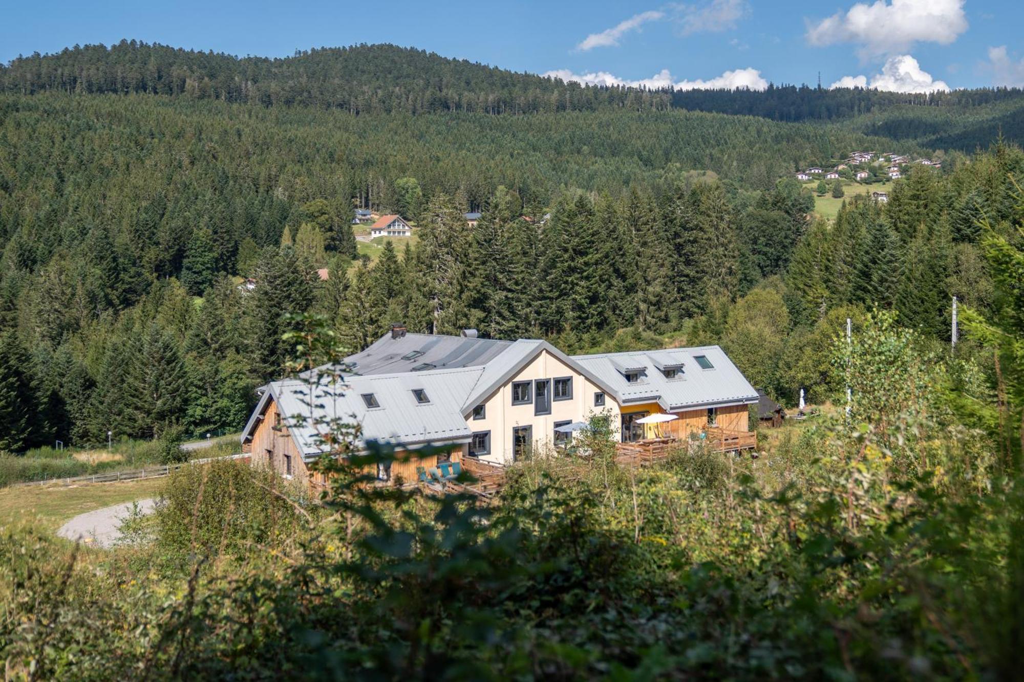 Le Perchoir Du Grand Valtin - Gite 5 Personnes - Altitude 830 Ban-sur-Meurthe-Clefcy Bagian luar foto